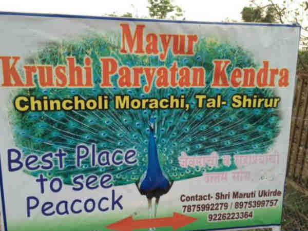  3. పొలాల చుట్టూ