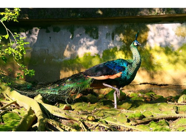  6. ఈ ప్రాంతాన్ని చేరుకోవటం ఎలా?