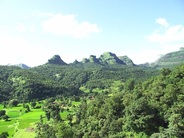 కేదారేశ్వర్ స్వామి ఆలయం