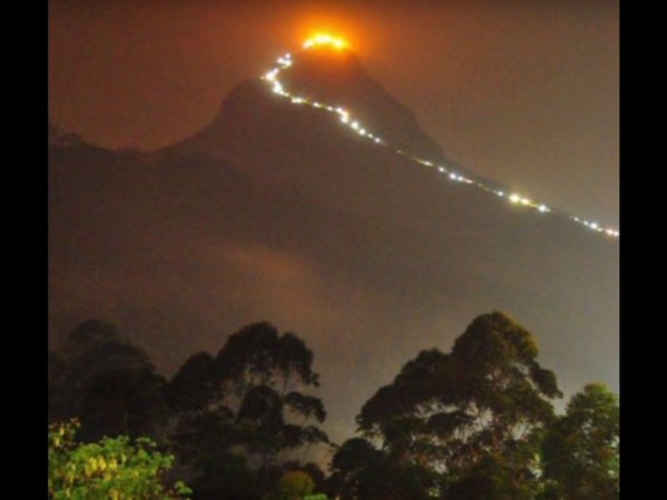 మహిళలకి మాత్రమే