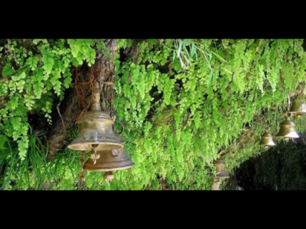 పరమేశ్వరుడు