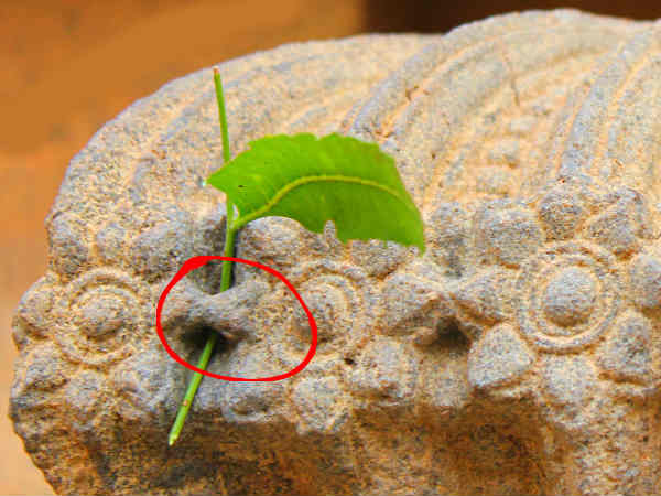 రాజరాజచోళుడు