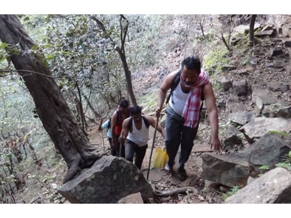 1. ఆలవాలం