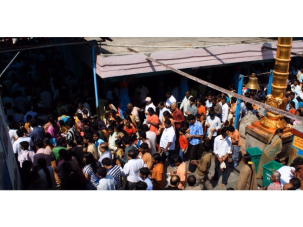 16. బస్సు సర్వీసులు