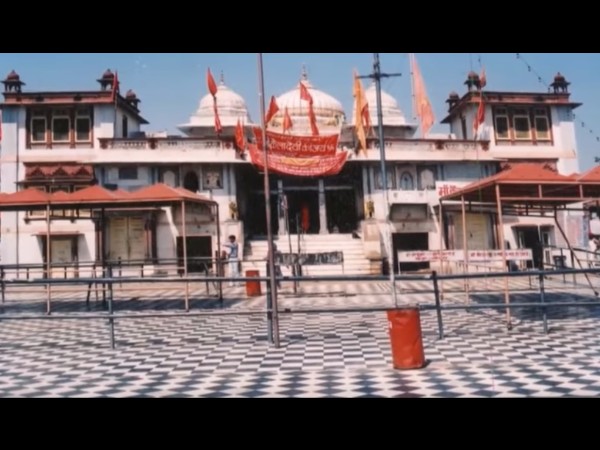 2. వందలాంది తాళం కప్పలు