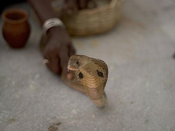 షోలాపూర్ 