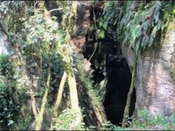 6. ఒక గుహలో వంటలు