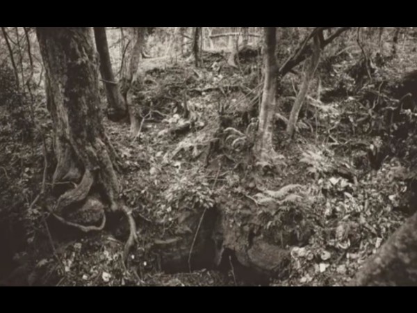 8. క్కడికి అనుమతిస్తున్నారు