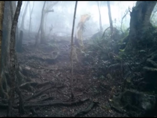 13. మొన్నీమధ్యనే పర్యాటకుల సందర్శనార్థం