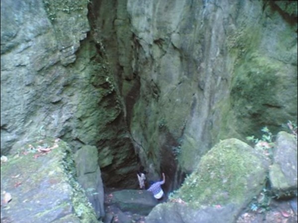 17. పచ్చదనంతో పర్యాటకులను ఆకర్షిస్తూ వుంటాయి.