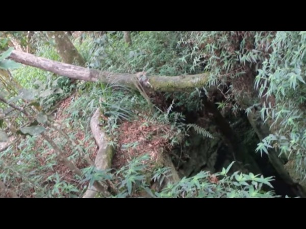 22. ఏప్రియల్ - జూన్ మరియు ఆగస్టు - సెప్టెంబర్