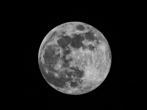 5. ధ్వజస్తంభం