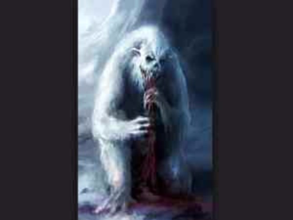 4. పాద ముద్రలు