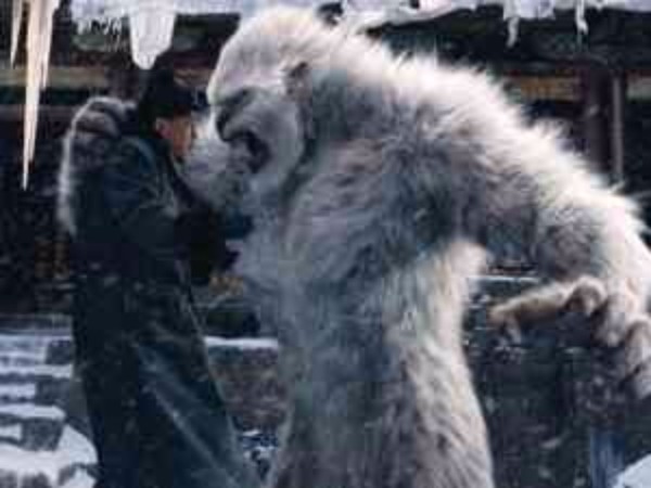 13. ఎలుగుబంటి యొక్క దవడఎముక