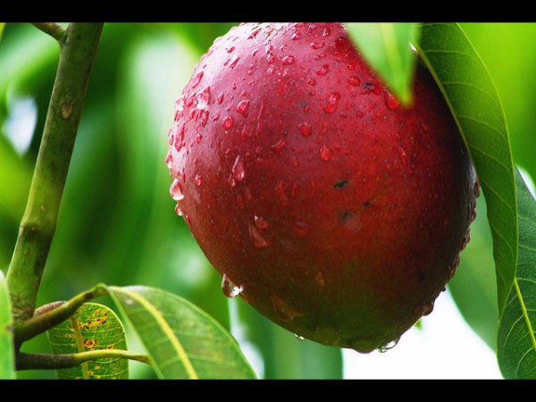 7. దర్వాజా