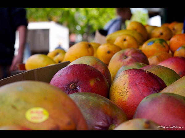 8. బంగ్లాదేశ్‌ సరిహద్దు