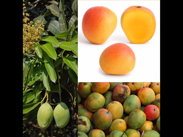 12. ఎలా వెళ్లాలి?? 