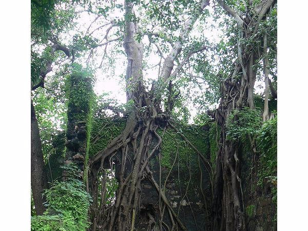 శ్రీ మహాదేవార్ అతిశయ వినాయగర్' ఆలయం