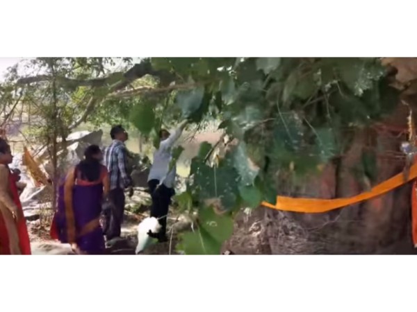 7. రూపాయి