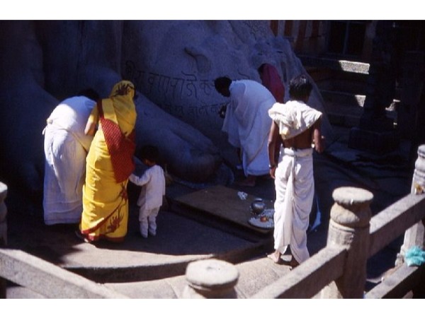 14. గొప్ప సంపద