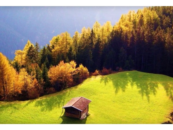 జమ్ము కాశ్మీర్ రాష్ట్రం