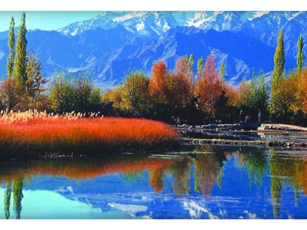 చెప్పుకోదగ్గ అందాలు