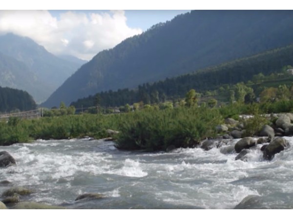 సర్ ప్రైజింగ్ ఫ్యాక్ట్స్