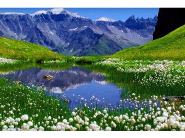 రెండు రాజధానులు