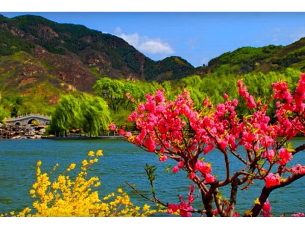 సిటిజెన్ షిప్