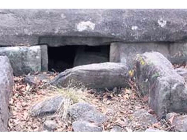  గోదావరి తీరాన ఆదిమానవుల జాడలు !