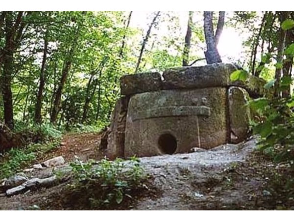 ఎముకల డీఎన్‌ఏ