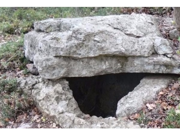 డీఎన్‌ఏ పరీక్ష