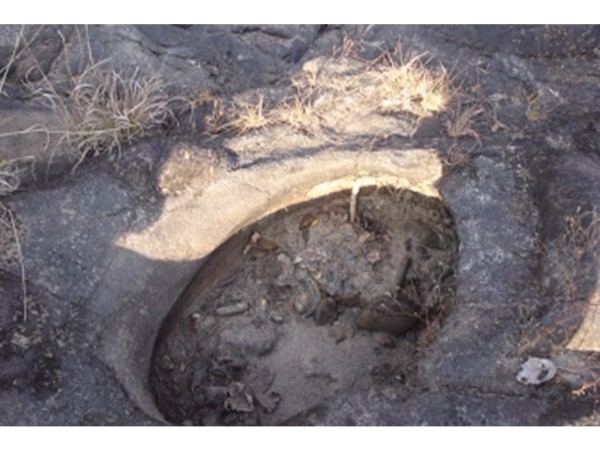 సెంట్రల్‌ యూనివర్సిటీ 