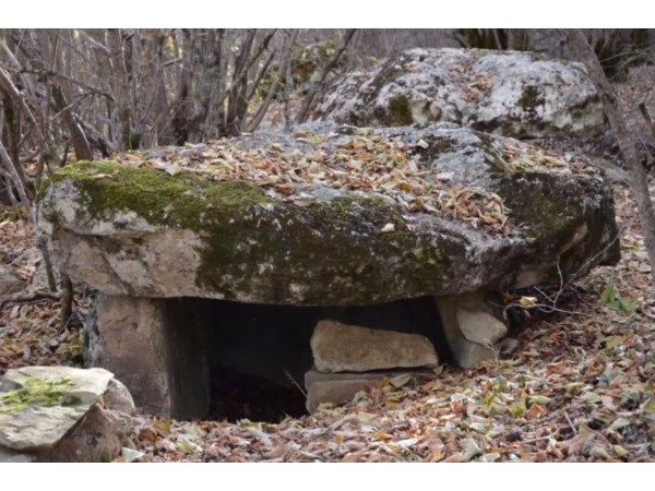 తొలి మెరుగైన అధ్యయనం