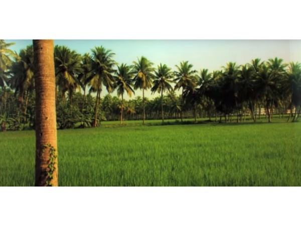 భీమవరం పశ్చిమ గోదావరిజిల్లా 