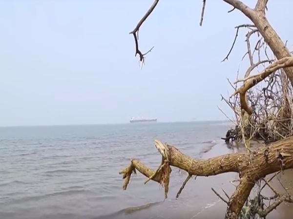 చమురు నిక్షేపాలు