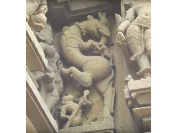 17. యాళివంటి జీవులు