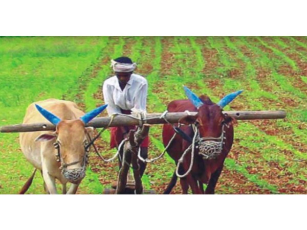 12. అనూజ్ ప్రకాశ్