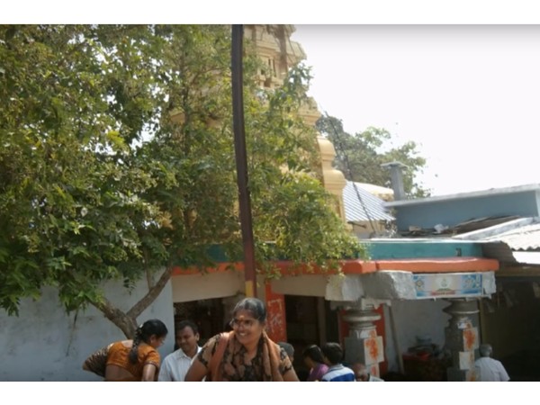 3. సెలయేరు