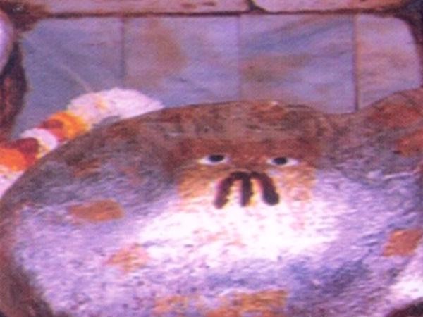 11. పరిశోధనలు