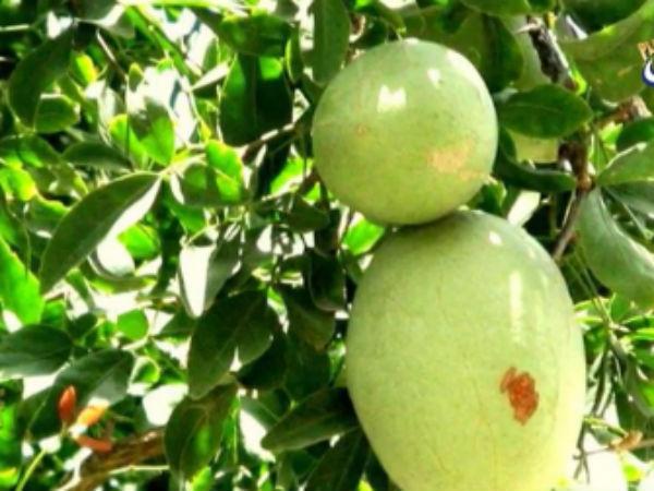 9. నిత్య కళ్యాణీ సమేత విశ్వనాథస్వామి ఆలయం