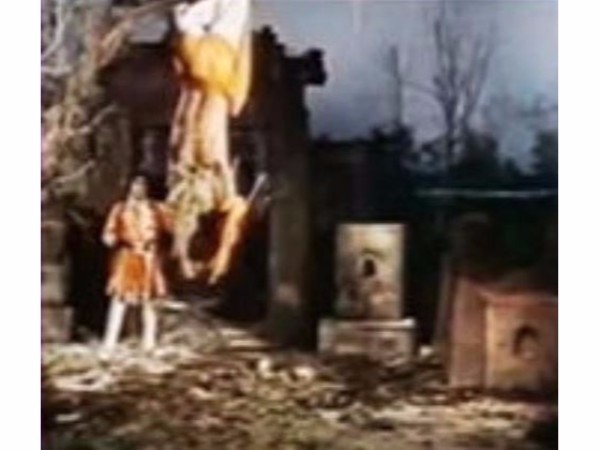 11. బాంబే బ్లాక్ వుడ్, రోజ్ వుడ్