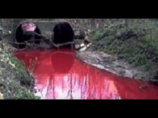 5. ప్రకృతిలో సంభవించే కొన్ని వింతలు