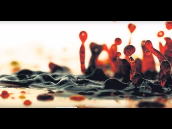 8. రిపోర్ట్ 