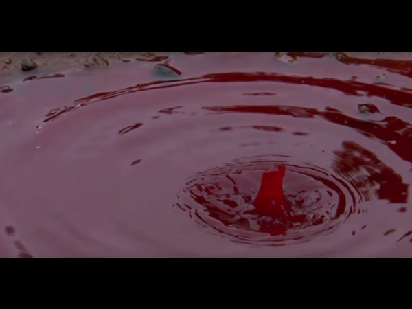 16. ఆనందమయ బ్యాక్ వాటర్స్