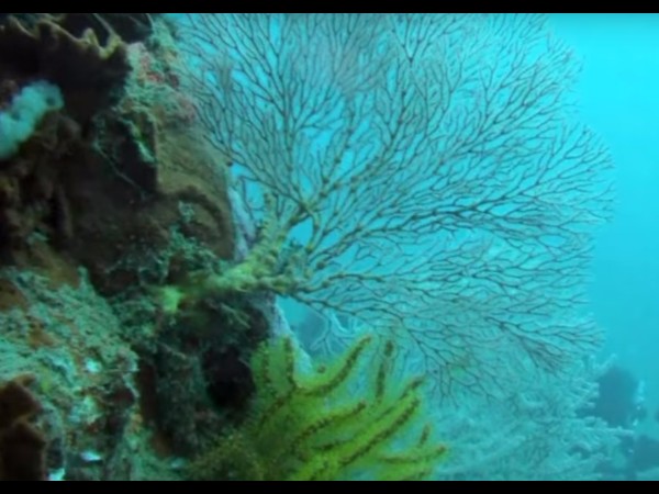 సముద్రం అడుగున వున్న దేవాలయం