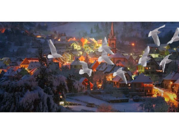  13. ఇలా ఎప్పటి నుండి జరుగుతోంది?