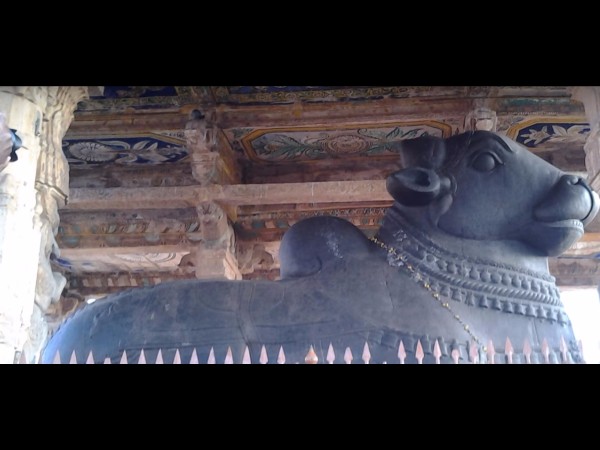 2. చంద్రగుప్తమౌర్యుడు 