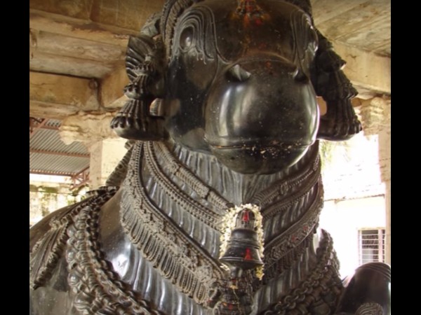 3. గోపాలకులు