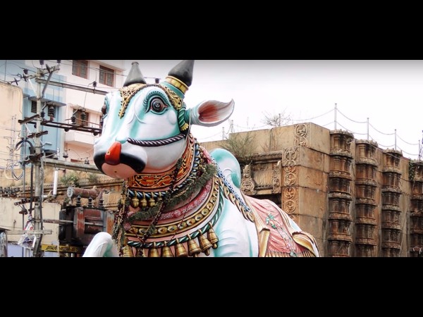 6. బాలుడు అదృశ్యమగుట